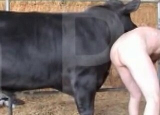 Animal Toplist Zoo Sex Porn