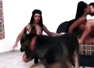 Group sex with a horny dog