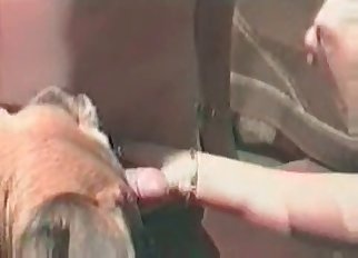 Perverted bestial penetration at the farm