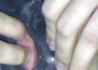 Hot blowjob for a sexy dog