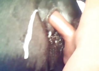Gorgeous horse is getting fucked and creamed on cam