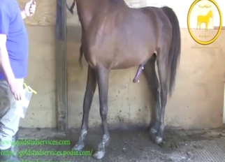 He wants to put in his mouth, not hand, though