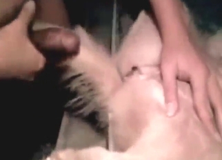 Big bad bestiality porn fuck with a sexy beast