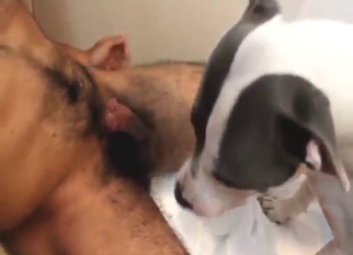 Agree to see this hairy cock pleased by a beast