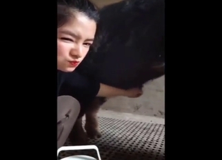 Sucking