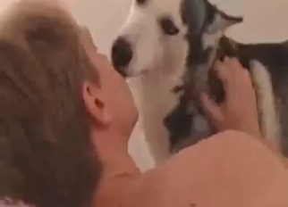 Husky