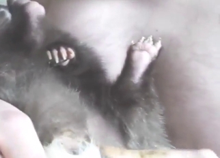 With a finger up its hole, this skunk is SO horny