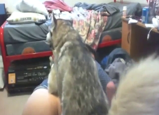 Amateur gay bestiality sex with a tubby teen