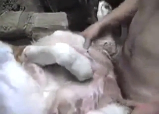 Guy is a savage, kinky motherfucker for this