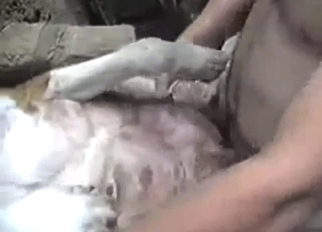 Guy is a savage, kinky motherfucker for this