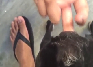 Dog fucking showcased with lots of fingering