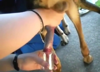 Sexy animal wants to put its jizz in a shot glass