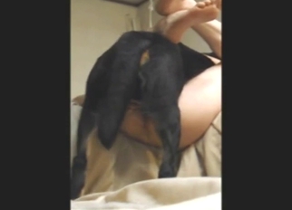 Mish fuck movie with a sexy animal lover