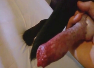 POV blowjob and handjob scene with close-ups