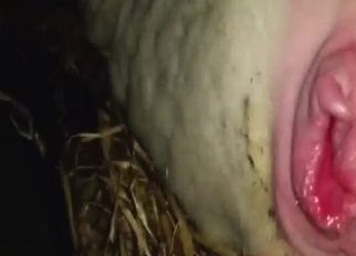 Sheep sex scene with pink pussy ruined for real