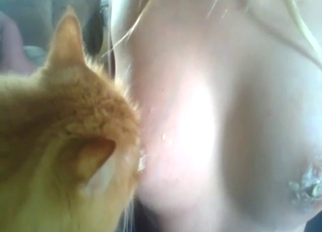Sexy cat tongue pleasuring her nipples, tits