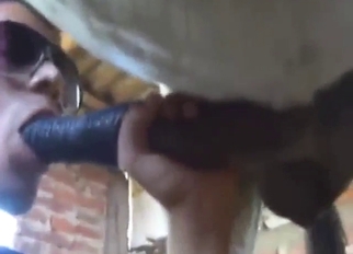 Donkey-sucking lady shows what she's got