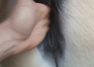 Moaning fucking mare takes that dude's hand