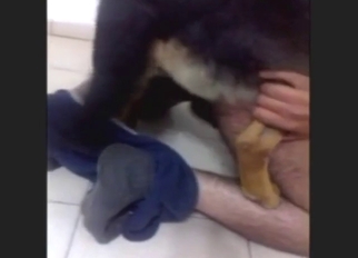 Loud moaning and crazy fucking for a slutty guy