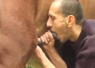 Horse and dog fucking the same guy in this one