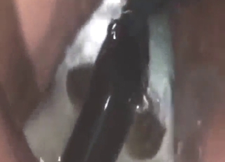 Fish porn showing a sexy animal being nasty