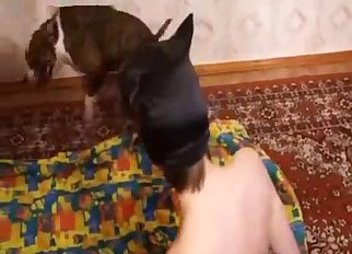 Slender chick wears stockings and has bestial sex