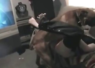 Zoophilic bestiality in the fast mode