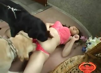 Asian chick looks nice with a dog dick inside