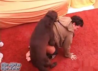 Masked zoophile fucked on all fours