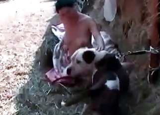 Dog relaxing and getting a BJ