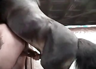 Guy's asshole destroyed by a dog