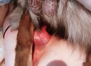 Cur enjoying its dirty life