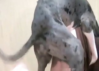 Dog can't say no to that ass here