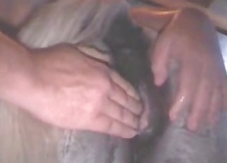 Guy is banging this horse in the asshole